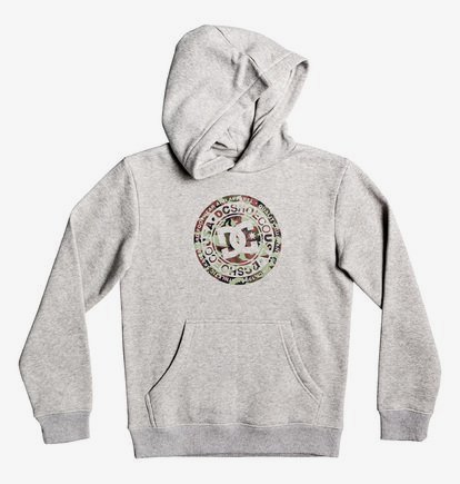 Circle Star - Sweat à capuche pour Garçon 8-16 ans - Gris - DC Shoes