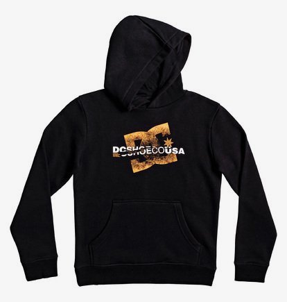 Riptrip - Sweat à capuche pour Garçon 8-16 ans - Noir - DC Shoes