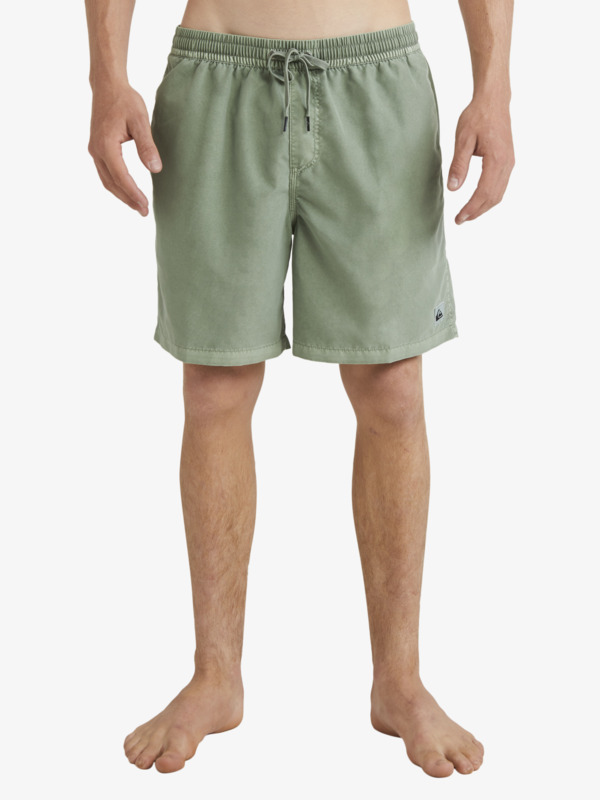 Quiksilver Everyday Surfwash 17 - Short de bain pour Homme Vert