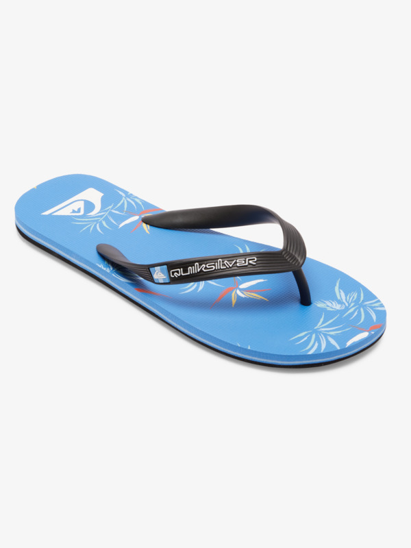 Quiksilver Molokai Art Gregg Kaplan - Tongs pour Homme Noir