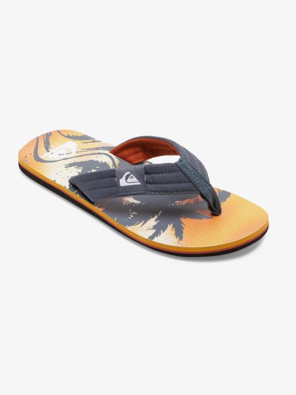 Quiksilver Molokai Layback - Sandales pour Homme Gris