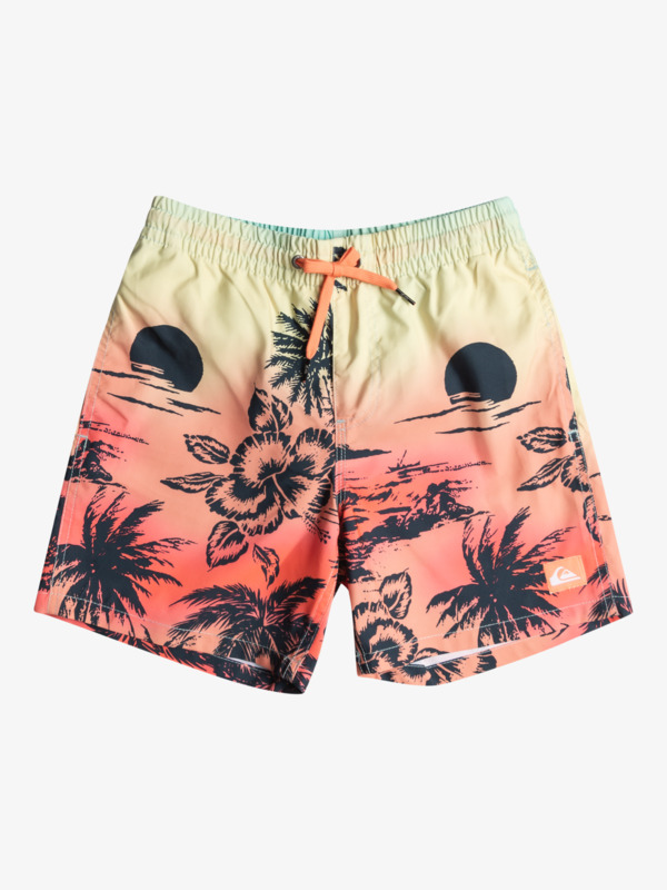 Quiksilver Everyday Paradise 14 - Short de bain pour Garçon 8-16 ans Vert