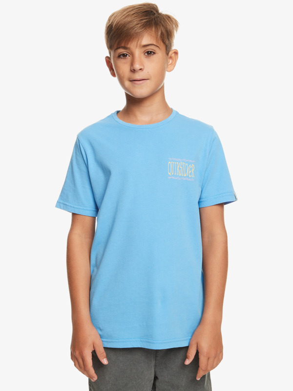 Quiksilver Taking Roots - T-shirt pour Garçon 8-16 Bleu