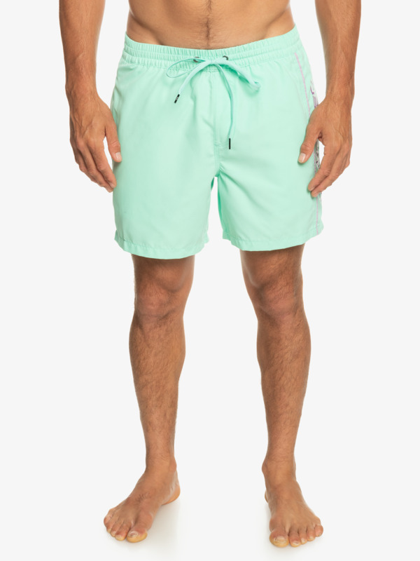 Quiksilver Everyday Vert 16 - Short de bain pour Homme