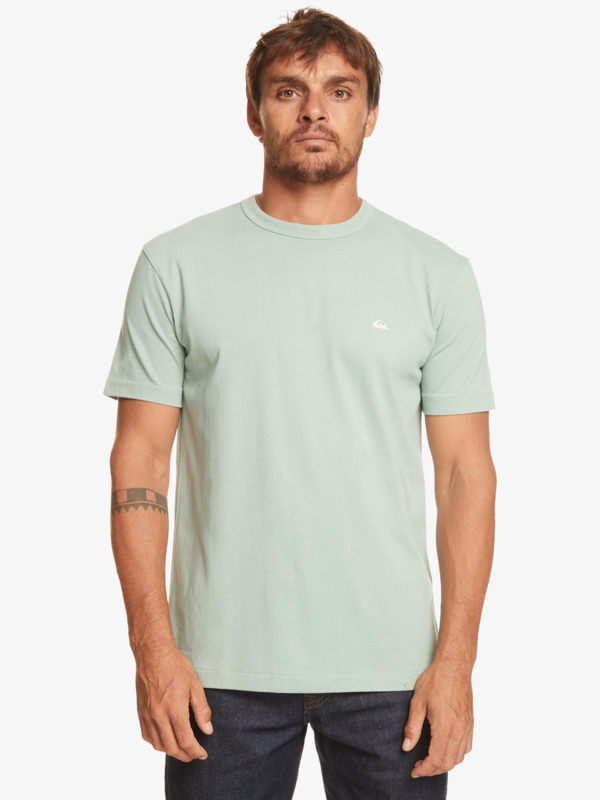 Quiksilver Essentials - T-shirt en matière biologique pour Homme Vert