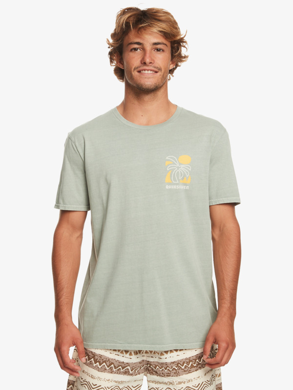 Quiksilver Summer Hope - T-shirt pour Homme Vert