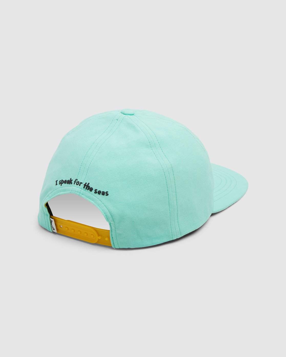 dr seuss cap