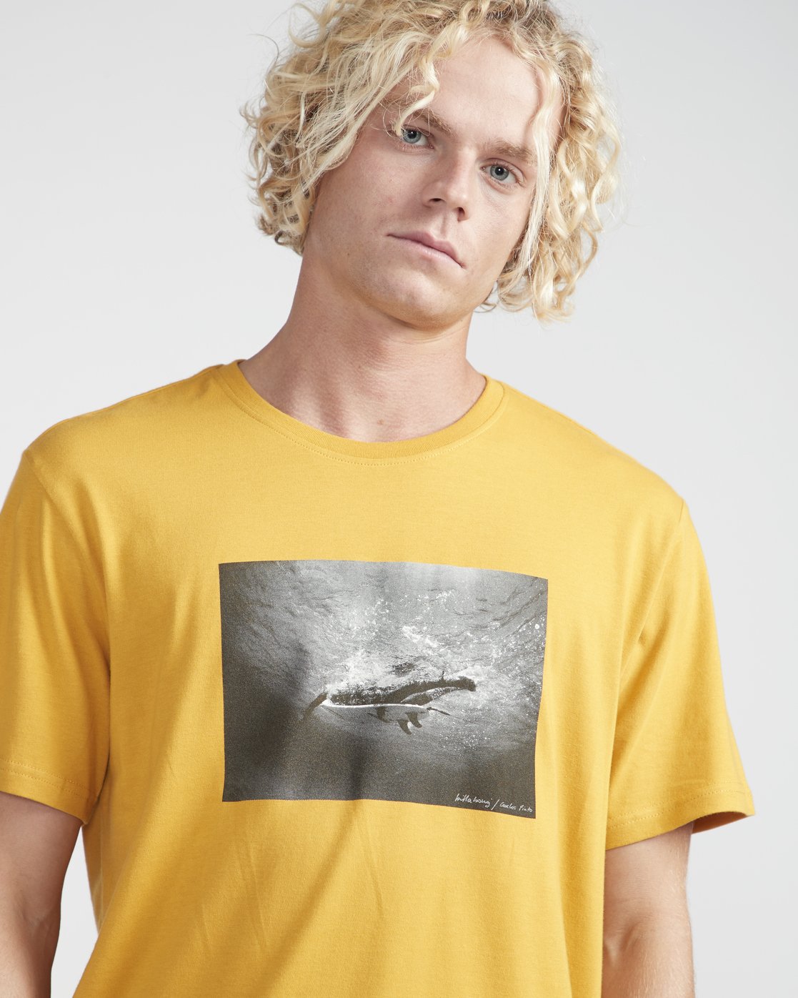 Billabong Focal Short Sleeve T-Shirt in Bone