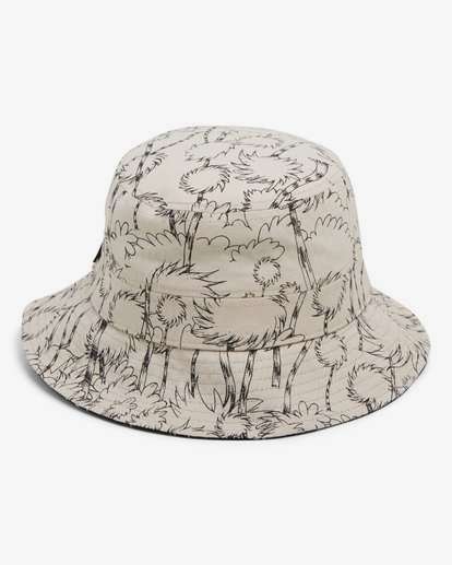 billabong dr seuss hat