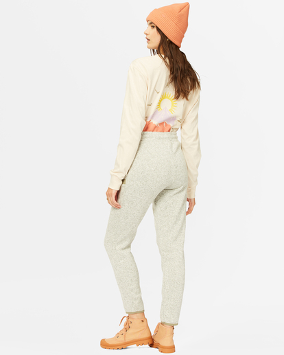 2 A/Div Roam Free Jogger Sweatpants Grey ABJNP00141 Billabong
