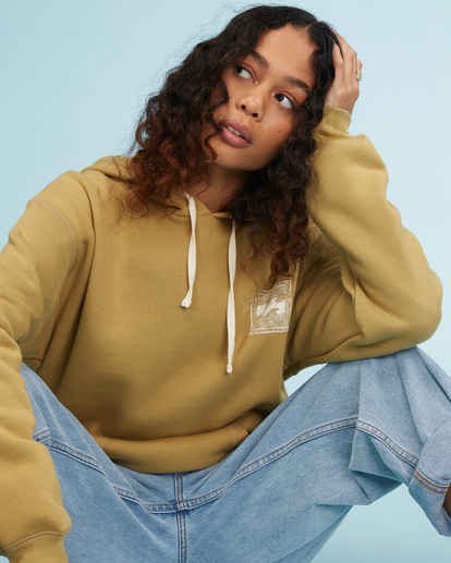 3 Know The Feeling Pullover Hoodie  ABJSF00200 Billabong