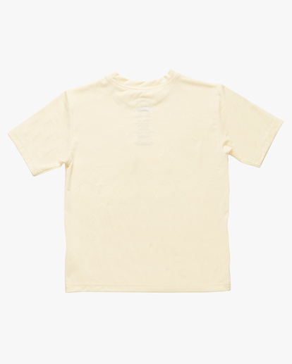 1 Boys' (2-7) All Day Wave Loose Fit Short Sleeve Surf Tee Multicolor ABTWR00100 Billabong