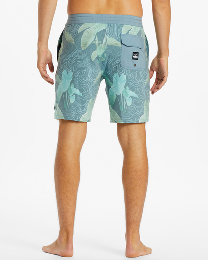 4 Kamea Kalo Lo Tide Boardshorts 19" Blue ABYBS00424 Billabong