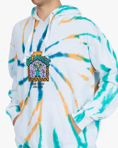 4 Plants Dance Organic Pullover Hoodie Multicolor ABYFT00333 Billabong