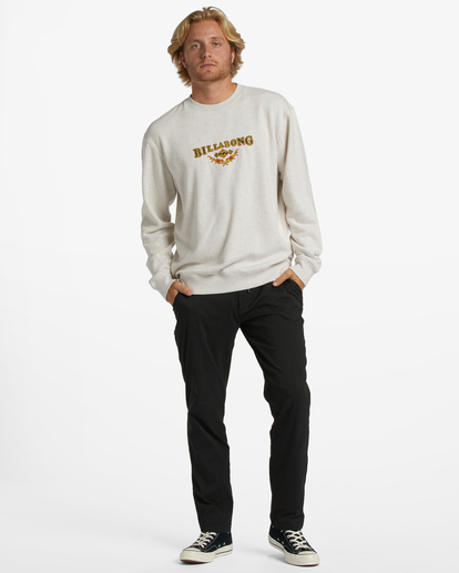 1 Re-Issue - Sweat pour Homme Gris ABYFT00370 Billabong