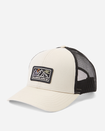 white billabong hat