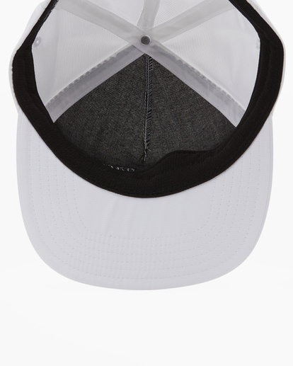 4 Arch Team Strapback Hat White ABYHA00330 Billabong