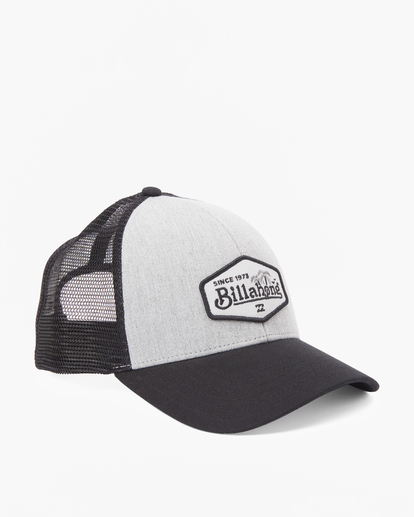 2 Walled Trucker Hat Black ABYHA00374 Billabong