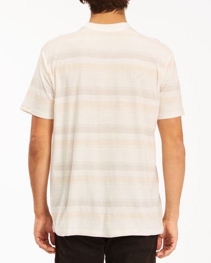 2 Die Cut Crew Neck T-Shirt White ABYKT00118 Billabong