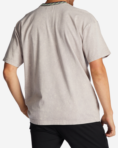 2 Felix - T-Shirt for Men Grey ABYKT00188 Billabong