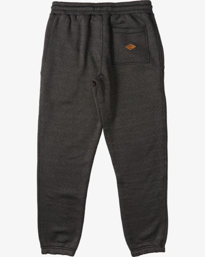 hudson north pants