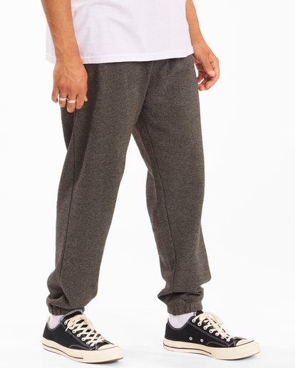 hudson sweatpants