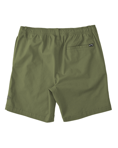1 Larry Layback Shorts 19" Green ABYWS00194 Billabong