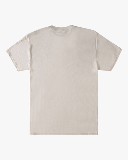 6 A/Div Performance Arch UV Short Sleeve T-Shirt Brown ABYZT00849 Billabong