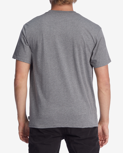 2 A/Div Performance Arch UV T-Shirt Grey ABYZT00849 Billabong