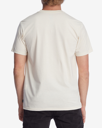 3 A/Div Performance Arch UV Short Sleeve T-Shirt Brown ABYZT00849 Billabong