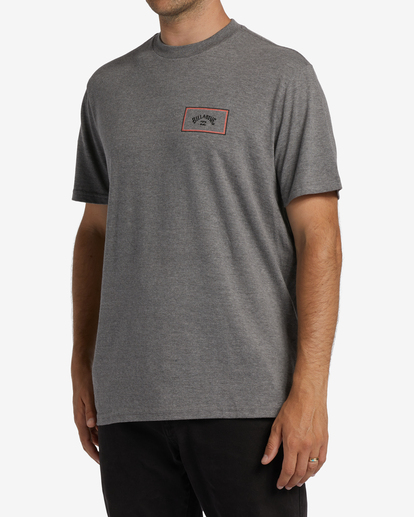 1 Arch Block T-Shirt Grey ABYZT01281 Billabong