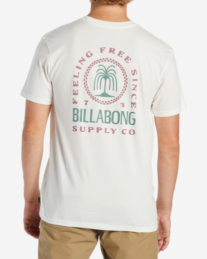 2 Steady Short Sleeve T-Shirt White ABYZT01576 Billabong