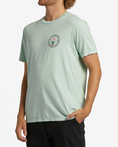 1 Trademark Wave Washed Short Sleeve T-Shirt Green ABYZT01597 Billabong