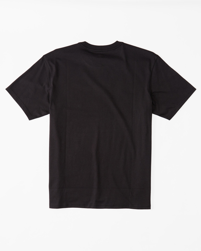 5 Alaska Wave Organic T-Shirt Black ABYZT01744 Billabong