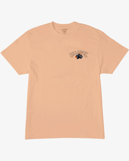 5 Kamea Lava Arch T-Shirt Pink ABYZT01917 Billabong