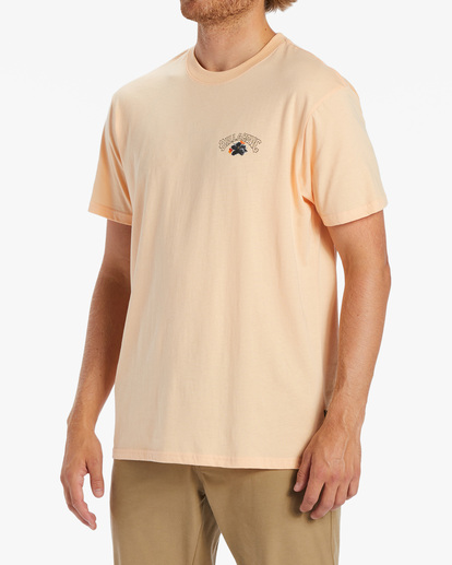 1 Kamea Lava Arch T-Shirt Pink ABYZT01917 Billabong