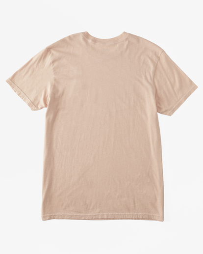 5 Exit Arch Short Sleeve T-Shirt Pink ABYZT02026 Billabong