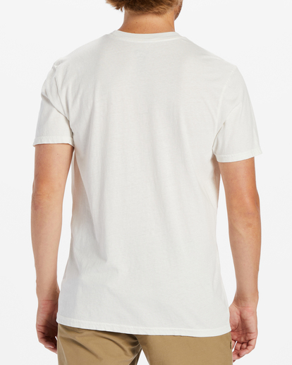 2 Level Short Sleeve T-Shirt White ABYZT02027 Billabong