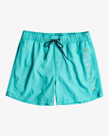 0 All Day Heritage Layback - Calções de banho pelo joelho para Homem Verde EBYJV00105 Billabong