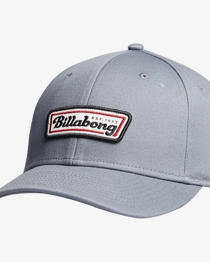 6 Walledretch - Cap for Men Gray Q5CF01BIF9 Billabong