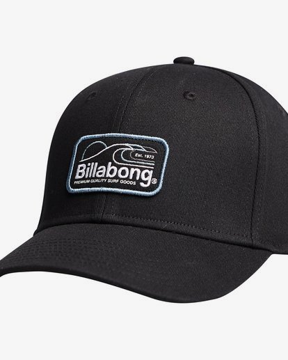 6 Walledretch - Cap for Men Black Q5CF01BIF9 Billabong