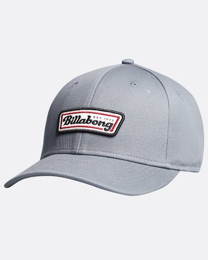 3 Walledretch - Cap for Men Gray Q5CF01BIF9 Billabong