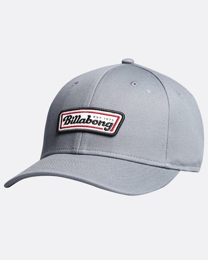 2 Walledretch - Cap for Men Gray Q5CF01BIF9 Billabong