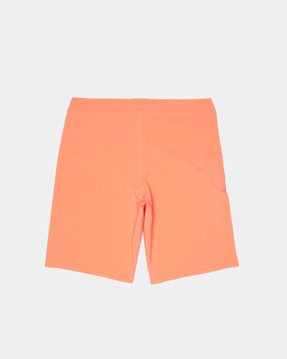 1 All Day Pro 20" - Performance Board Shorts for Men Multicolor S1BS48BIP0 Billabong