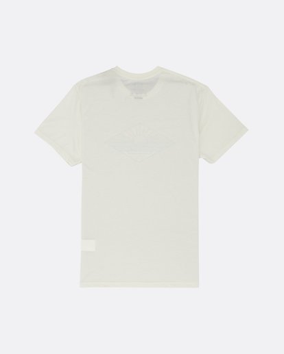 1 A Frame - T-Shirt for Men Multicolor S1SS54BIP0 Billabong