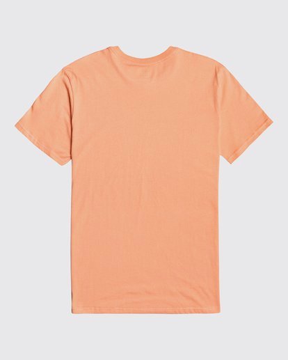 1 Inversed - T-Shirt for Men Orange U1SS62BIF0 Billabong