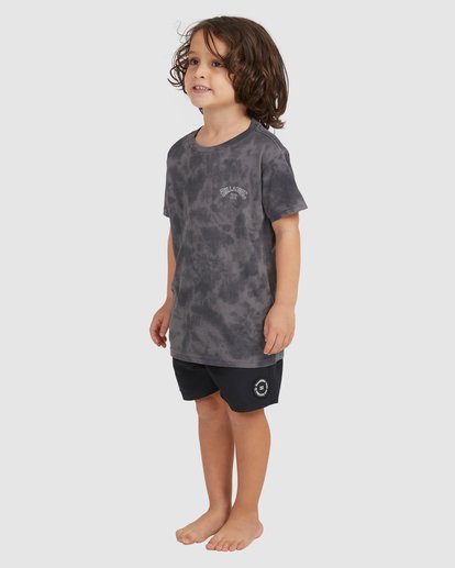 1 Boy's (2-7) Groms Arch Tie-Dye Short Sleeve T-Shirt Black UBTZT00116 Billabong