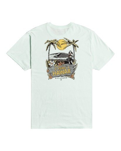 1 Dreamy Places - T-shirt para Homem  W1SS42BIP1 Billabong