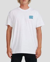 billabong plain t shirts