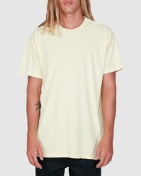 billabong plain t shirts